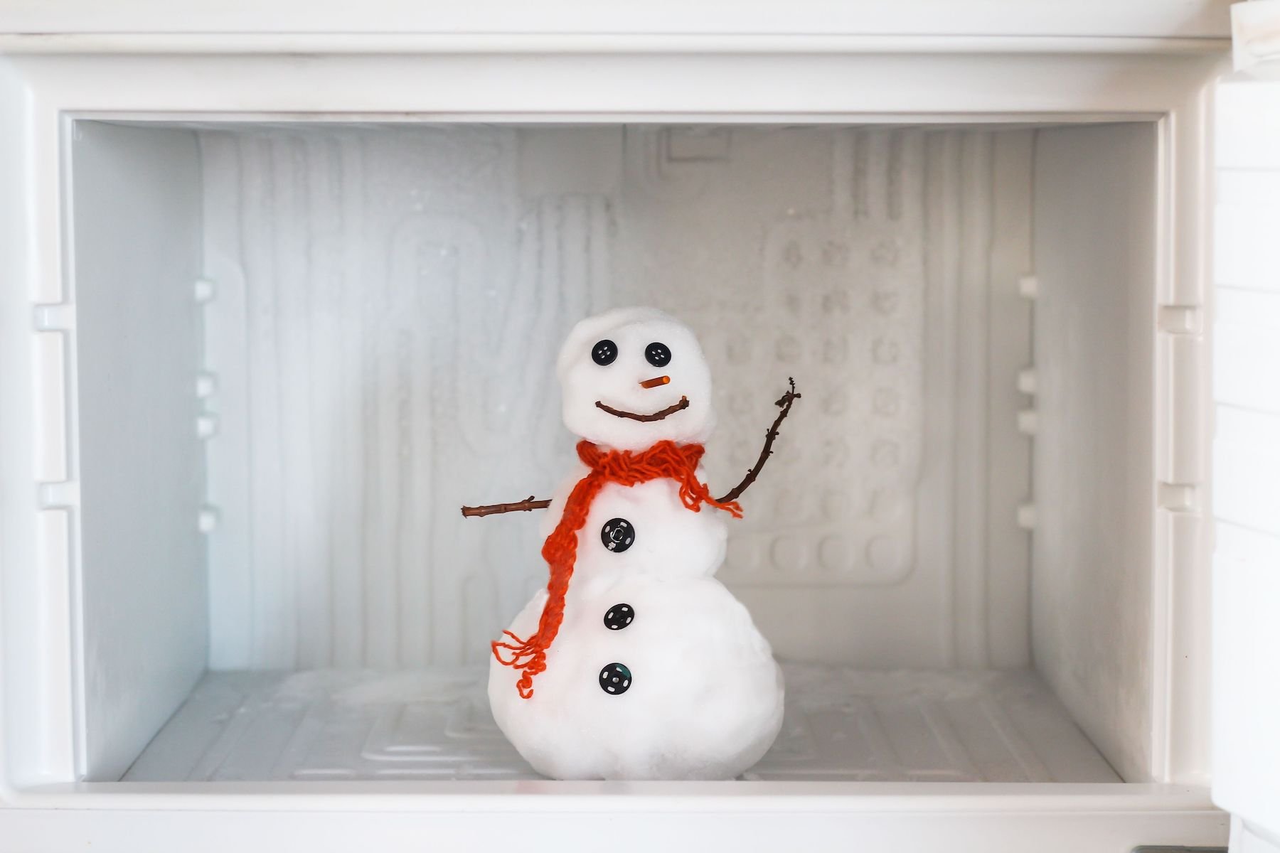 How to clear out your fridge and freezer - snowman in empty freezer