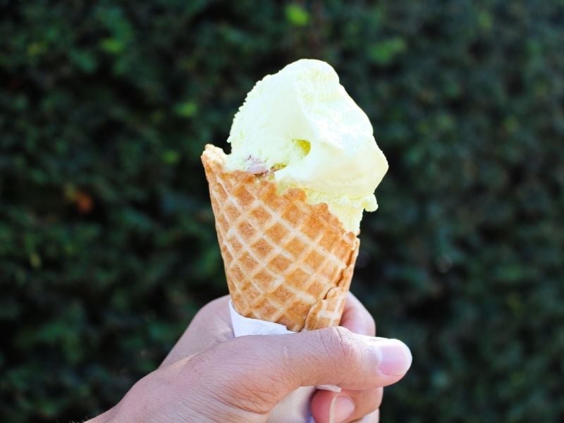A vanilla ice cream cone held in front of a hedge