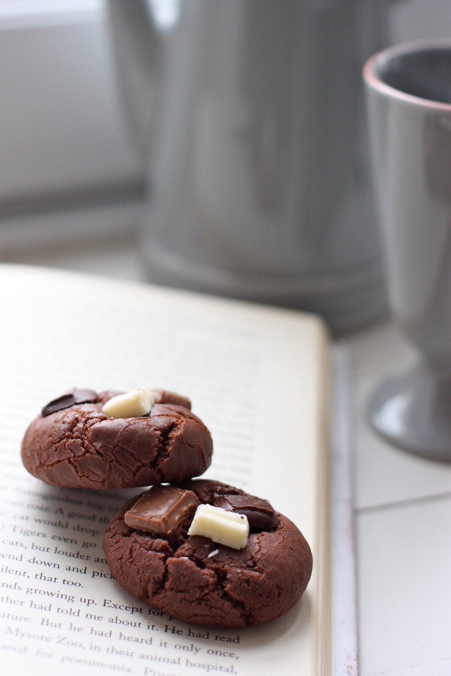 Two Chocolate Fudge Cookies on a book